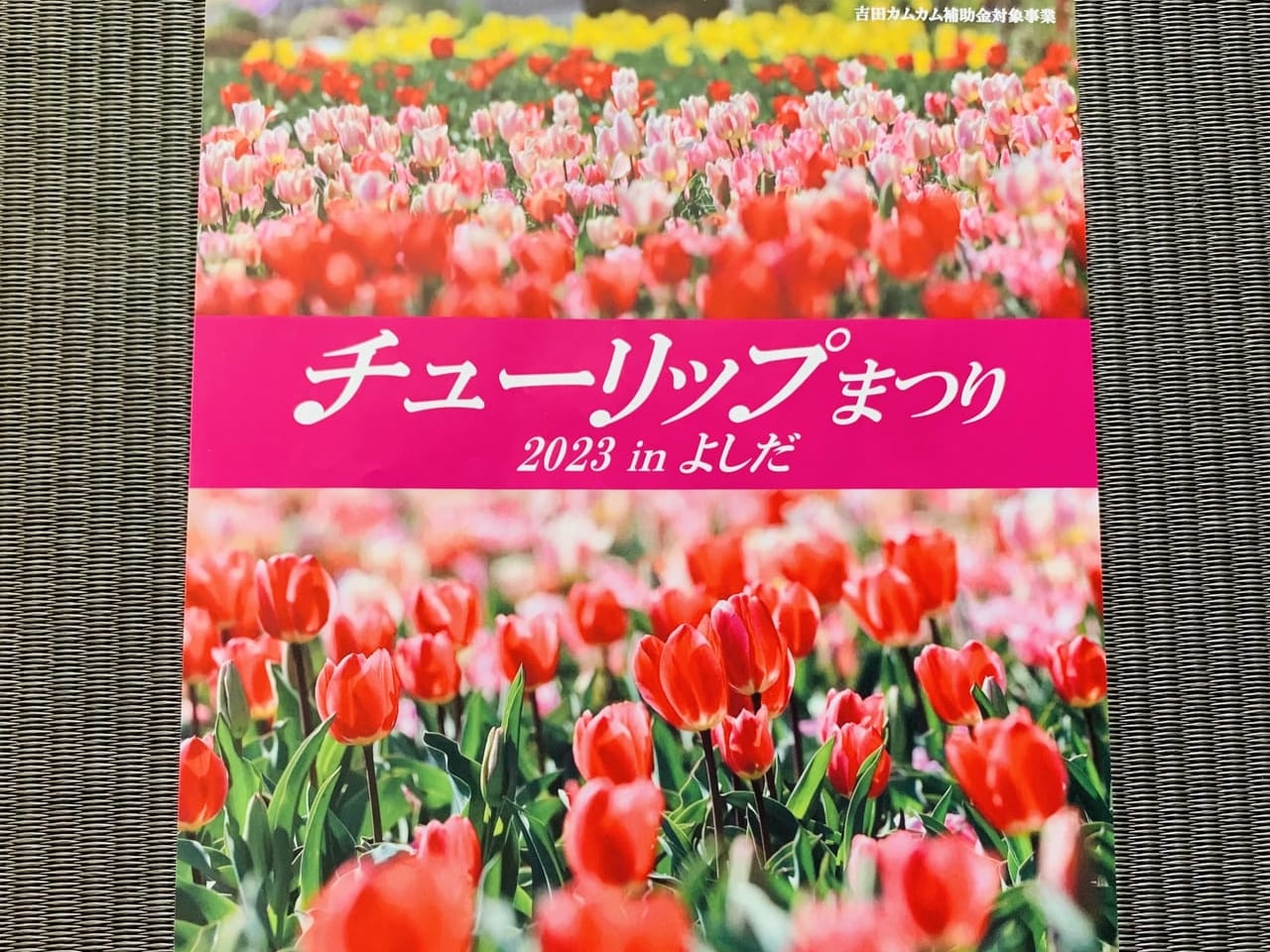 吉田町のチューリップまつり