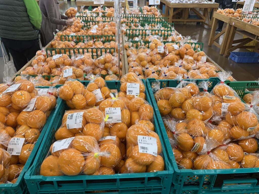 藤枝市のまんさいかん