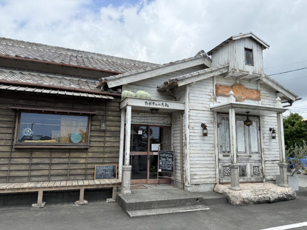 焼津市のカボチャのたね
