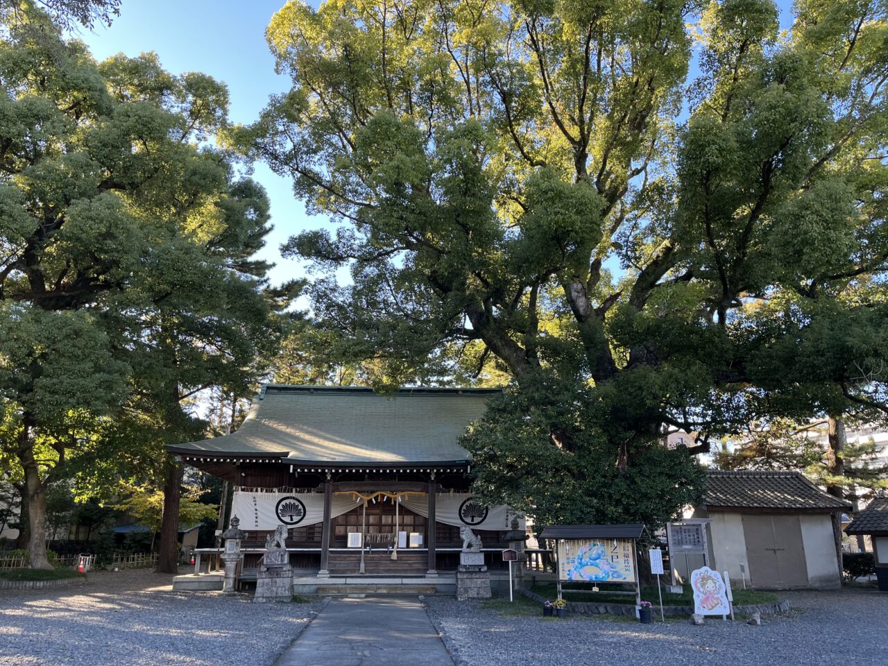 藤枝市のさくや市