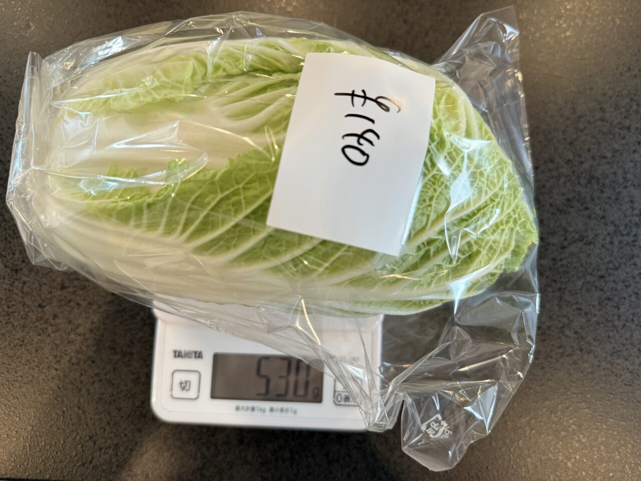 焼津市のカボチャのたね