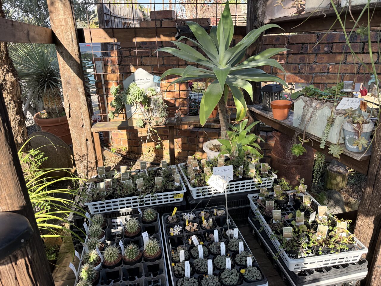 焼津市のポメゾン