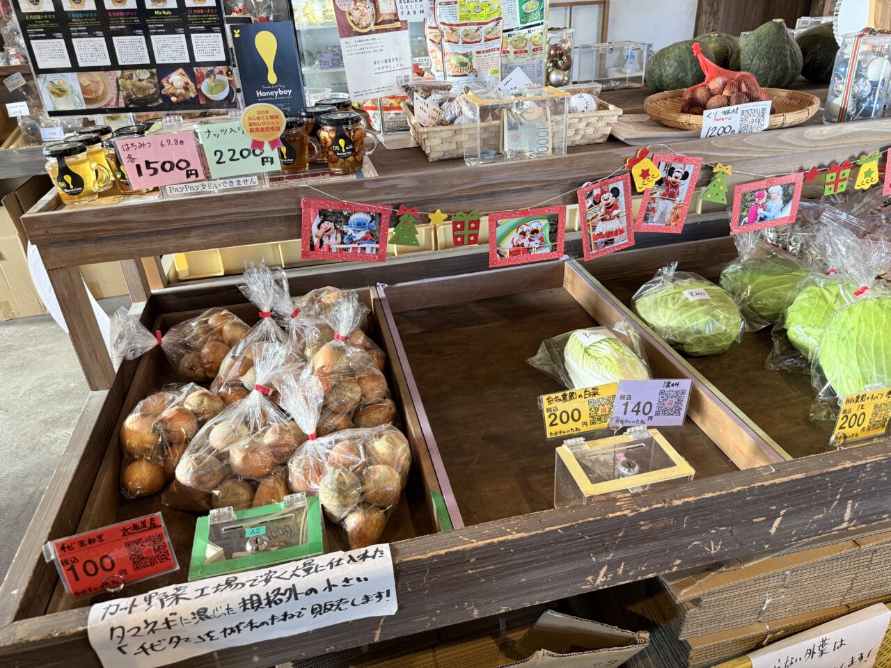 焼津市のカボチャのたね