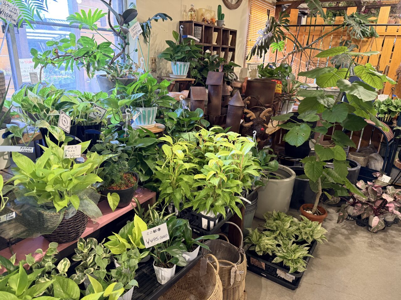 焼津市のポメゾン