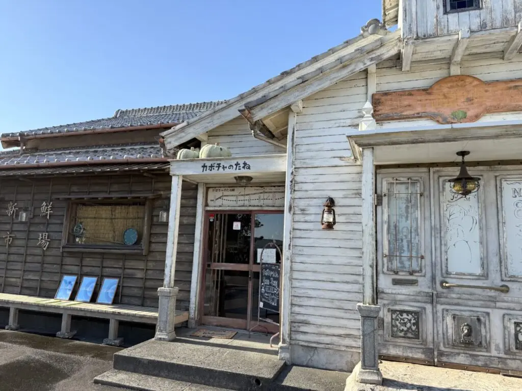 焼津市のカボチャのたね