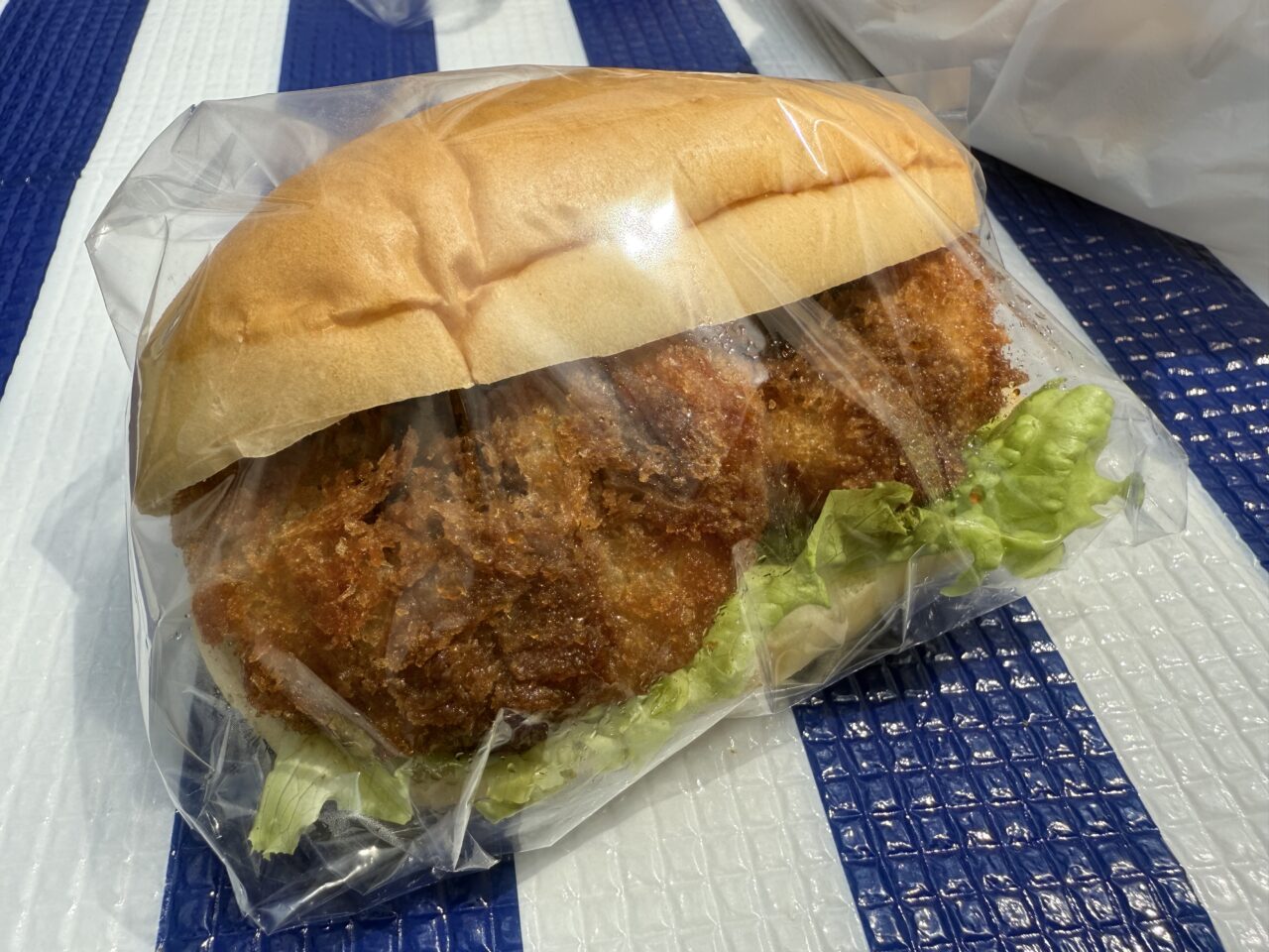 藤枝市のコータコート