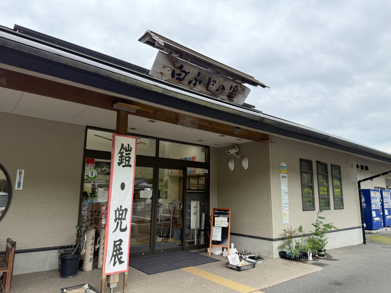 藤枝市の白ふじの里