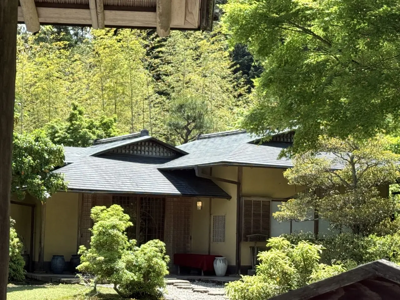 藤枝市の玉露の里
