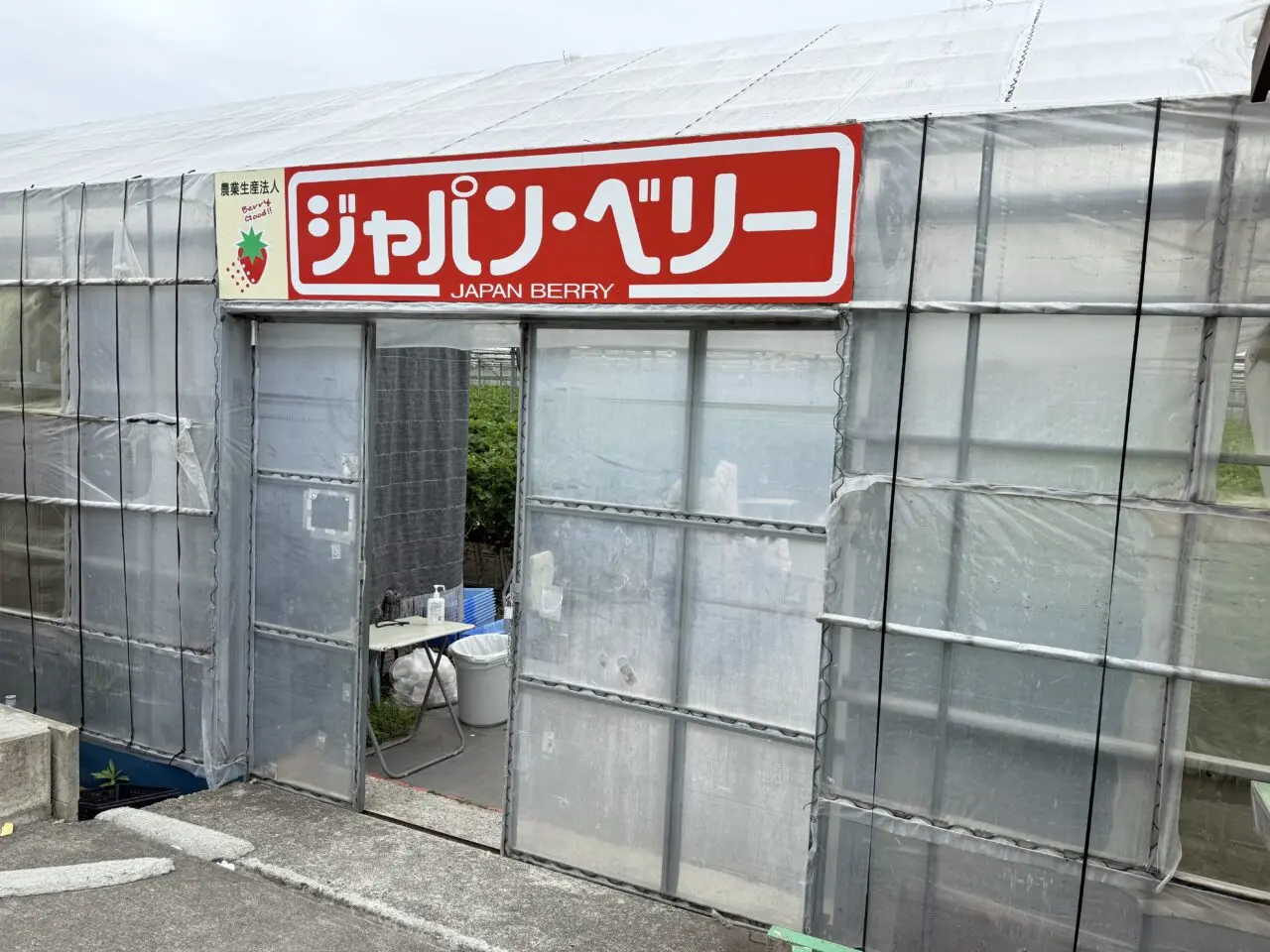 藤枝市のjapanberry