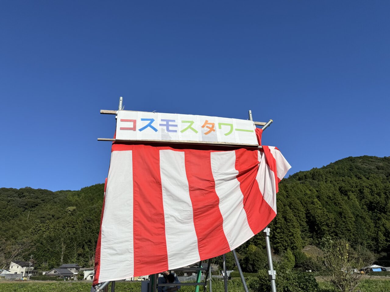 朝比奈コスモス