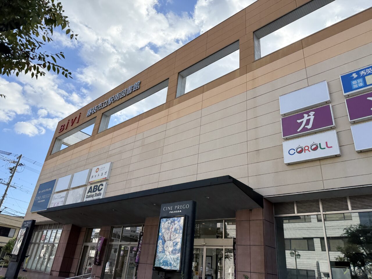 BiVifujieda