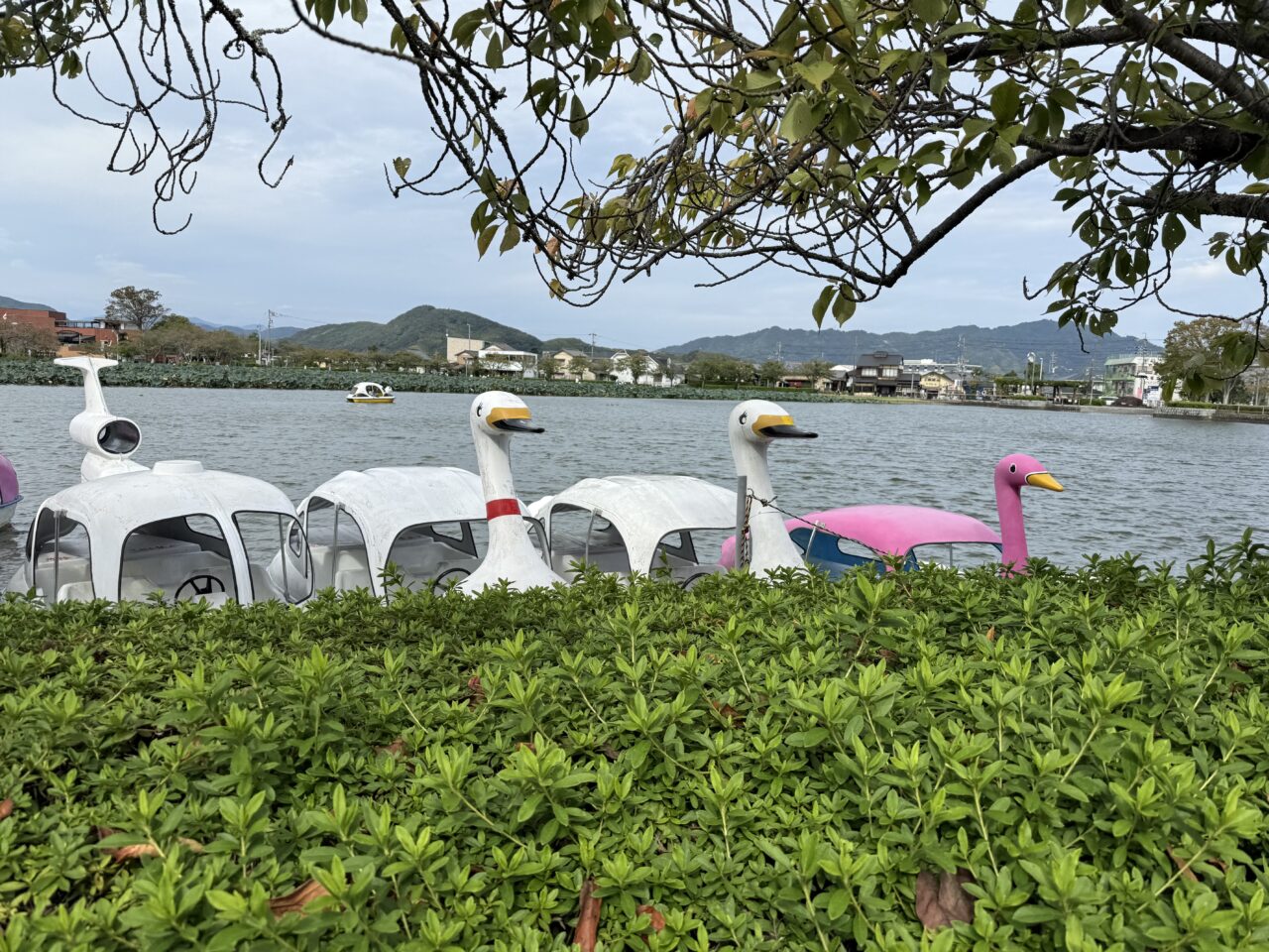 藤枝市郷土博物館